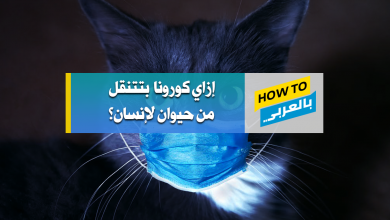 كورونا والحيوانات
