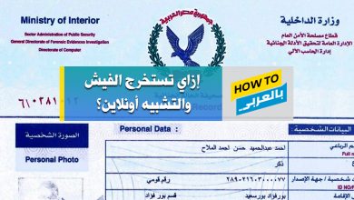 استخراج الفيش والتشبيه