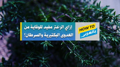 فوائد الزعتر