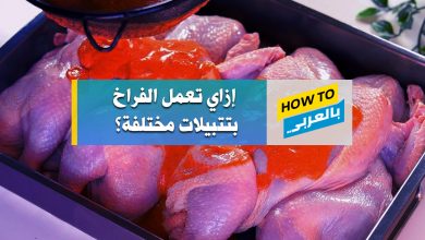 الفراخ