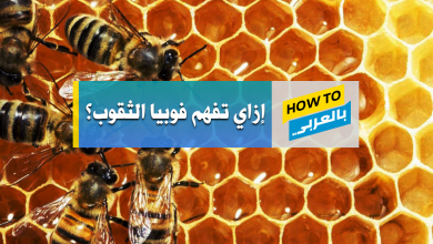 فوبيا الثقوب