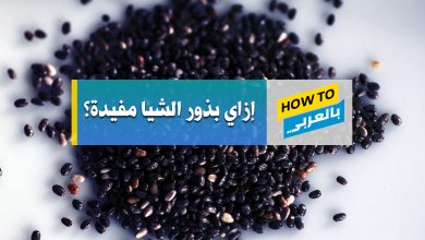 بذور الشيا