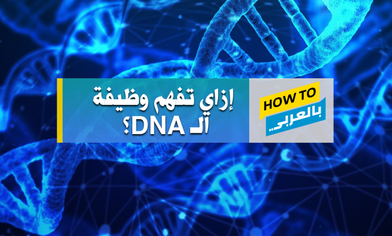 كل اللي محتاج تعرفه عن الـ Dna وأحدث تقنيات تعديل الجينات How To Arabic