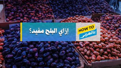 فوائد البلح