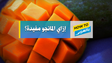 فوائد المانجو