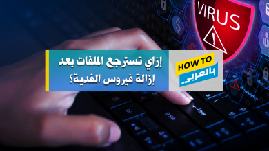 حل مشكلة فيروس الفدية