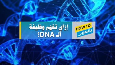 DNA
