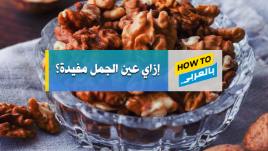 عين الجمل