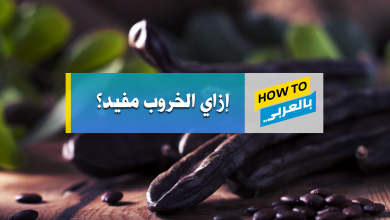 فوائد الخروب