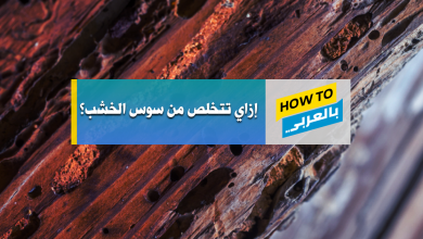 سوس الخشب