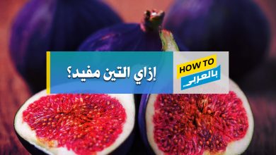 فوائد التين