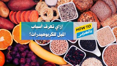 الكربوهيدرات