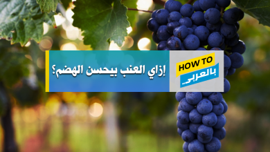 فوائد العنب