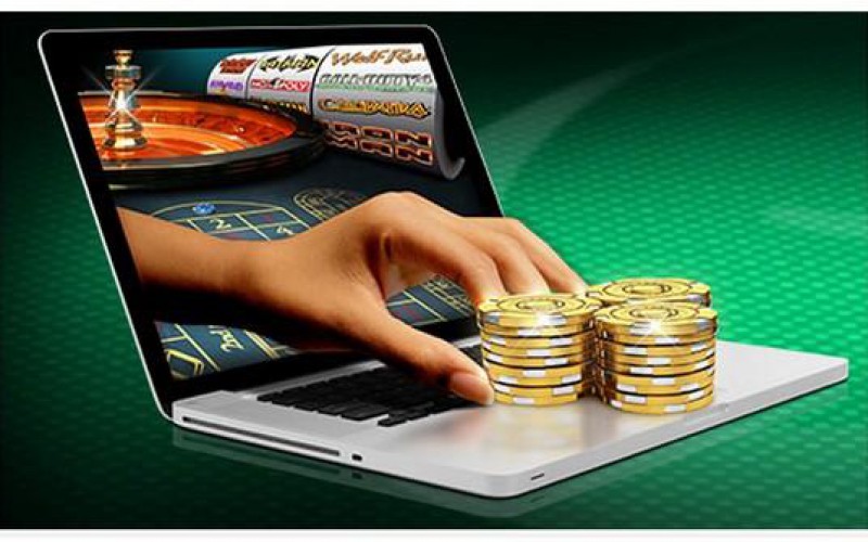 How to Maximize VIP Loyalty 7 How to Maximize VIP Loyalty 7