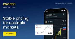 Understanding the Exness Trading Platform Understanding the Exness Trading Platform