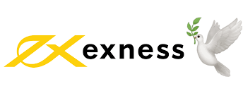 Understanding the Exness Trading Platform Understanding the Exness Trading Platform